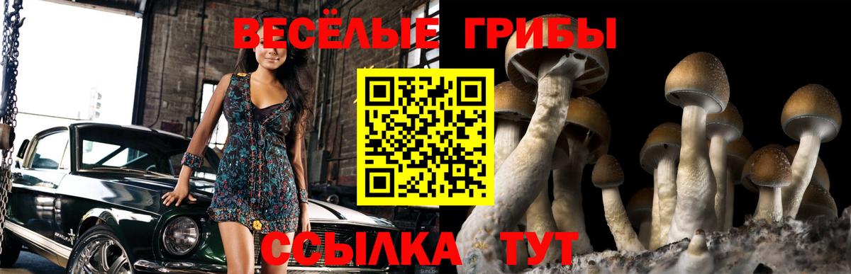 купить  сайты  Галлюциногенные грибы Psilocybine cubensis  Псилоцибиновые грибы MAGIC MUSHROOMS  Вход с VPN  Трёхгорный 